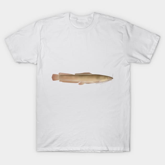 Vundu Catfish T-Shirt by FishFolkArt